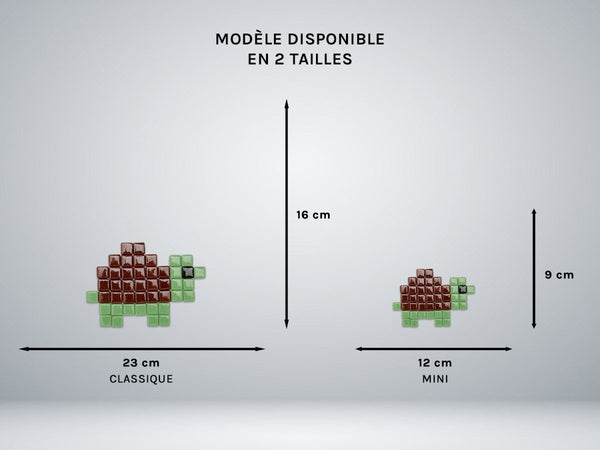 Kit mosaïque "Tristan la tortue" - Invasions.fr